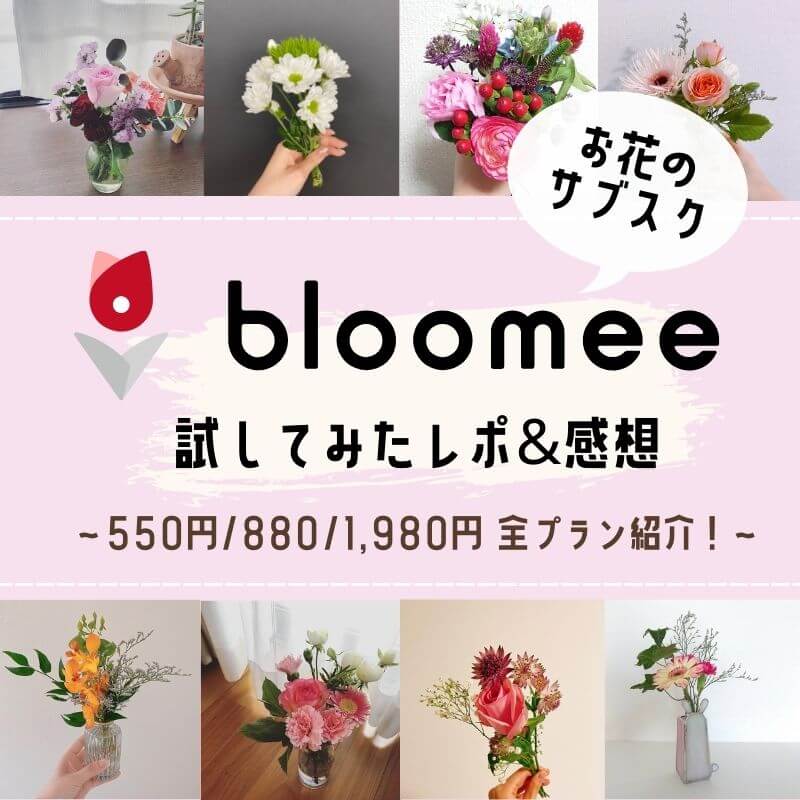 ブルーミーを試した私の口コミ正直レポ 価格別 お花の写真や解約方法まで徹底解説