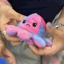 たかはし